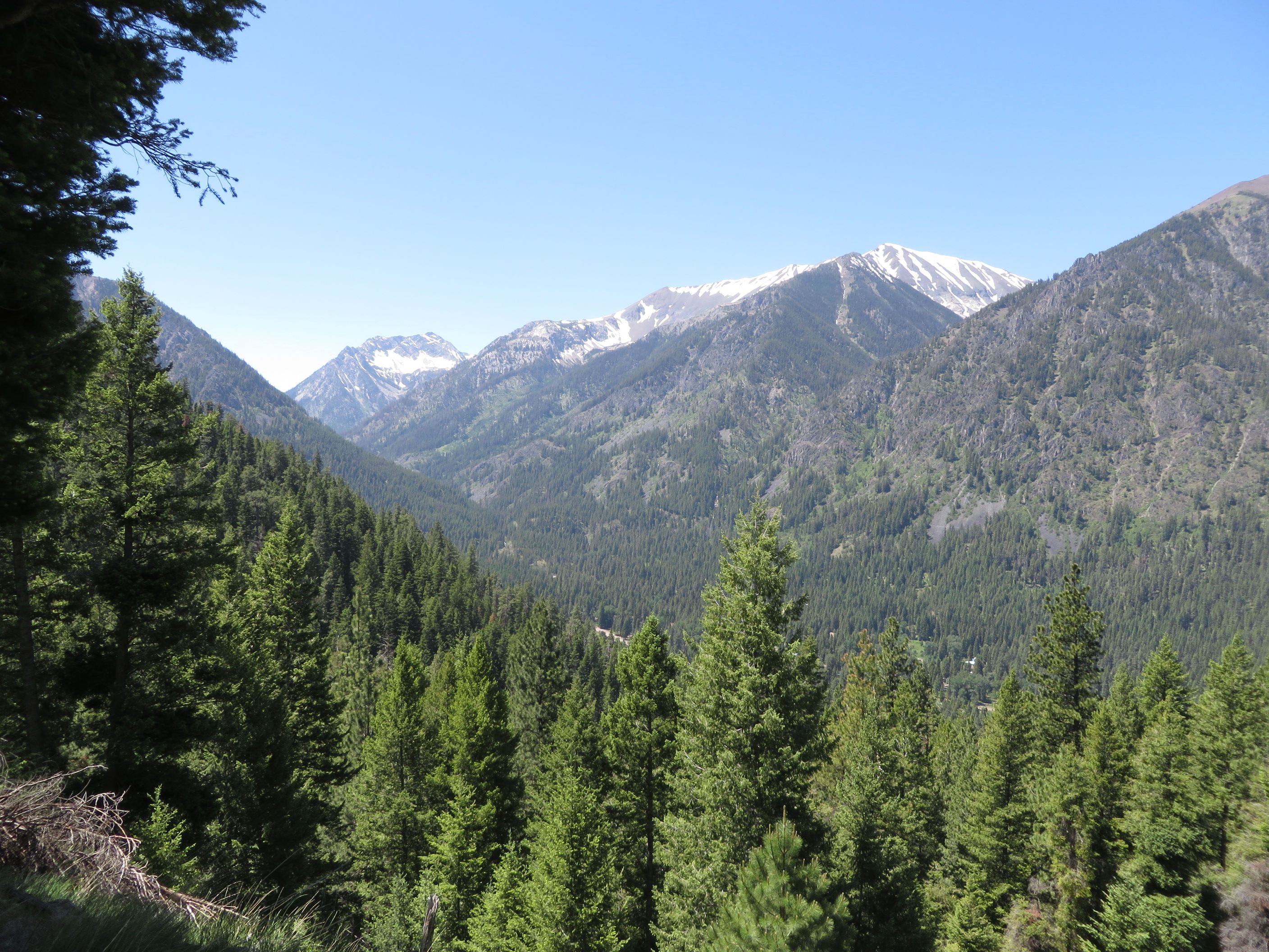 Wiggins-Graybeal Preserve landscape